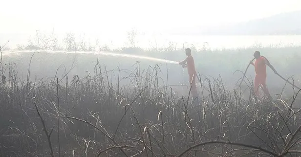 Kocaeli'de yangın! 10 dönüm sazlık kül oldu