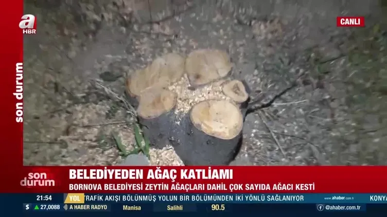 CHP'li Bornova Belediyesi'nden ağaç katliamı!