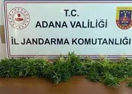 Adanada uyuşturucu operasyonu! Tarla İyi Partili meclis üyesi Fatih Giderin çıktı