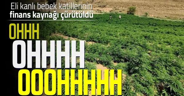 Son dakika: PKK'nın finas kaynağına ağır darbe! Tam 3,5 milyar TL...-1