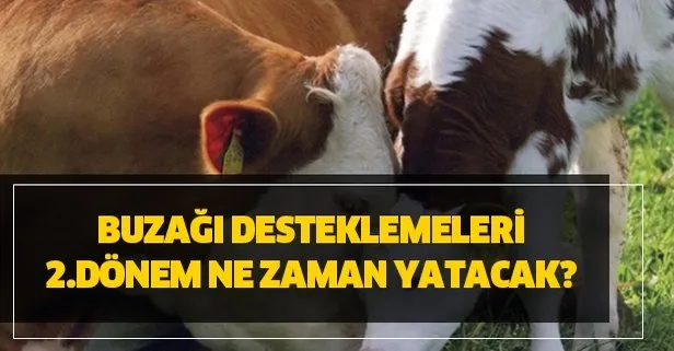 2018 2 Donem Buzagi Desteklemesi Kac Para Yatti Mi Odeme Tarihi Takvim