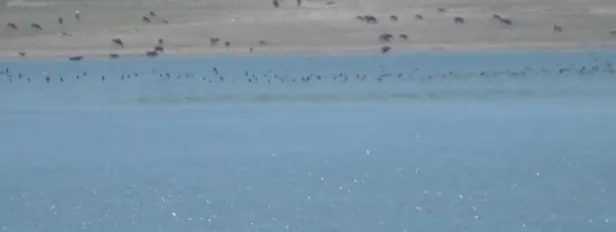 Kahramanmaraş'ta düşen uçağa ilişkin flaş gelişme! Düşmeden 15 dakika önce...-2