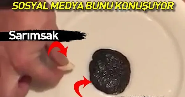 canli kanser hucresi sarimsaktan kacti
