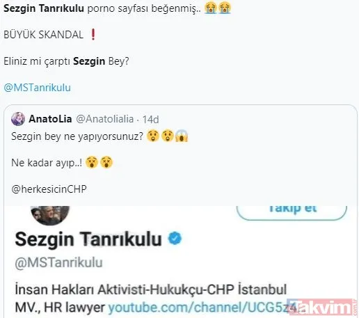 CHP'li Sezgin Tanrıkulu porno videosunu beğendi! Sosyal medya yıkıldı... - 16