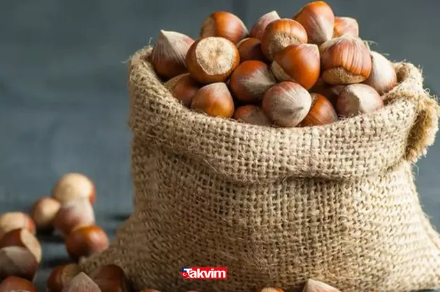 Haziran ayı güncel fındık fiyatları ne kadar oldu? 28 Haziran Giresun, Ordu, Sakarya, Samsun il il fındık fiyat listesi 2021!