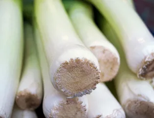 Şifa deposu pırasa