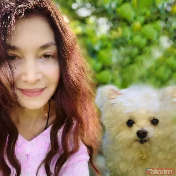 Kemal Sunal’ın güzeller güzeli partneriydi! Tokatçı’nın Emine’si Nazan Saatçi’nin son haline bakın! Gören inanamadı dilini ısırdı - 40