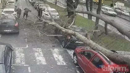 Meteoroloji ’turuncu alarm’ vermişti! İstanbul’da ağaç insanların üzerine devrildi!