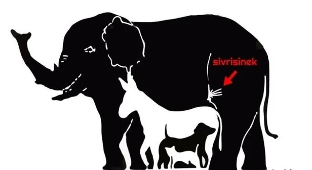 resimdeki-16-hayvani-15-saniyede-bulabilir-misiniz-bu-testi-yalnizca-1000-kisiden-1i-dogru-yanitliyor-1697429499487.jpg