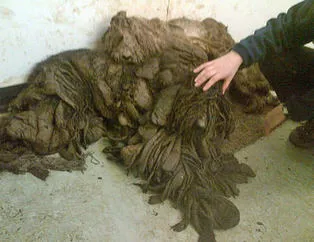 Bakın nasıl değiştiler