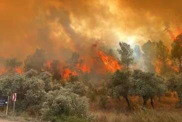 Çanakkale Valiliği'nden orman yangını uyarısı