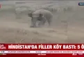 Hindistan'da filler köy bastı: 5 ölü!