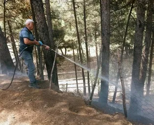 Osmaniye'de orman yangını