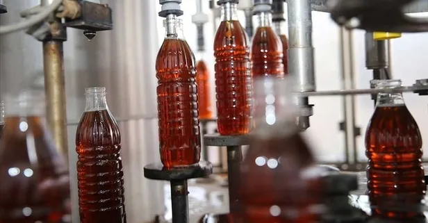 Elma sirkesinin sağlık faydaları: Sivilceden kansere birçok alanda koruyor