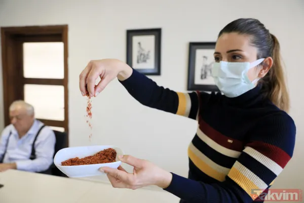 İsottan 50 kat daha acı! Şili biber yılda 72 bin ton üretiliyor - 11