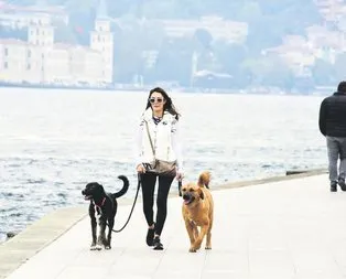 2’si yanında 15’i evinde