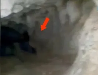 Mağaraya giren köylüler şoke oldu!