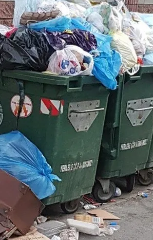 Çöpün yarısı gıdayla dolu