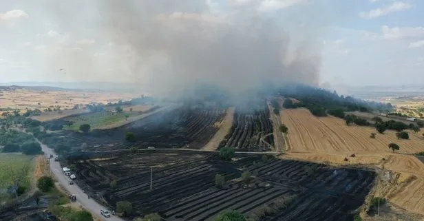 Balıkesir Altıeylül’deki orman yangını kontrol altına alındı