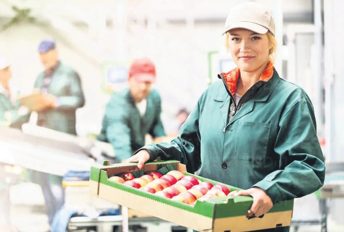 Asgari ücret zamanı