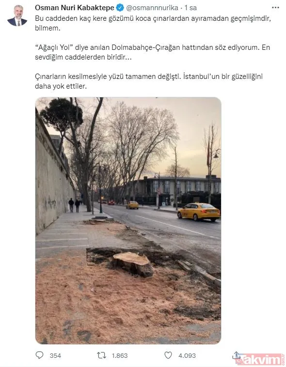 İstanbul tarihine kazınan bir ihanet! Ağaç zarar görmesin diye köşk yürüten Atatürk'ten asırlık çınarları katleden CHP'li İBB'ye - 17