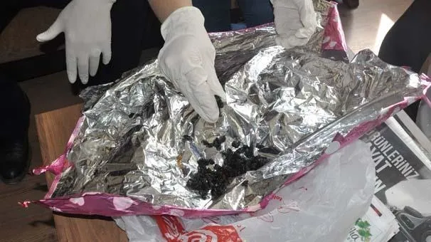 İnegöl'de türü belirlenemeyen böcek-3