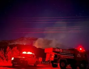 Munzur Vadisi Milli Parkı’nda orman yangını