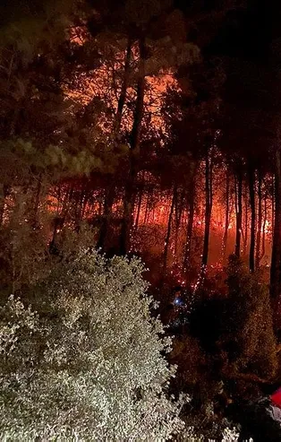 Son dakika: Muğla Fethiye'de orman yangını! Sabotaj şüphesi