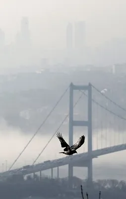 İstanbul'dan kartpostallık kareler