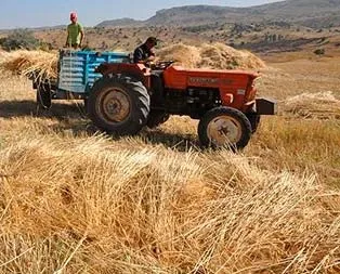 Çiftçiye ödeme başladı