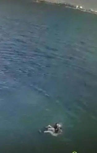 İzmit Marina'da korku dolu anlar!  Denize atlayan kadını kurtarma anı güvenlik kamerasında...