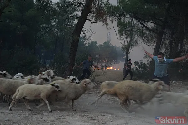 İzmir'deki yangın kontrol altına alındı! Bakan Yumaklı bölge bölge son durumu açıkladı - 15