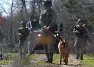 Teröre geçit yok! Bakanlık açıkladı: 7si sınırda yakalandı