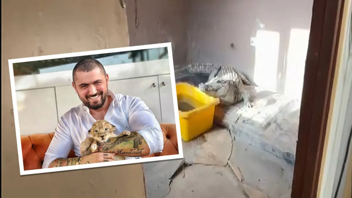 Burası Afrika değil İstanbul! Çerkez Cengiz’in evinden neler çıktı neler