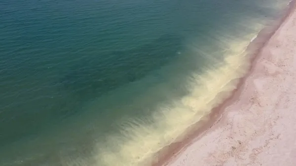 karadenizde-musilaj-panigi-inceleme-baslatildi-renk-degisiminin-polen-kaynakli-oldugu-tespit-edildi-1654860310487.jpg Karadeniz'de müsilaj paniği! İnceleme başlatıldı renk değişiminin polen kaynaklı olduğu tespit edildi-4