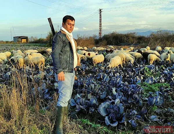 İzmir Bayındır'da 94'lük dede dehşet saçtı! Tartıştığı torununu av tüfeğiyle öldürdü - 4