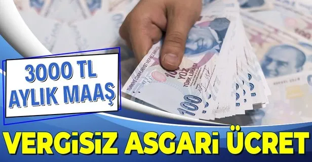 Vergisiz asgari ücret