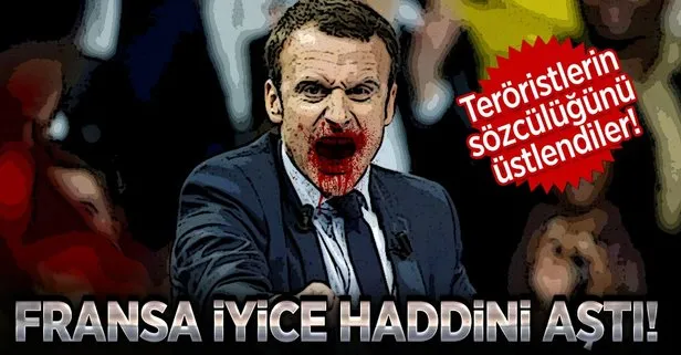Fransa'dan skandal YPG/PYD paylaşımı!