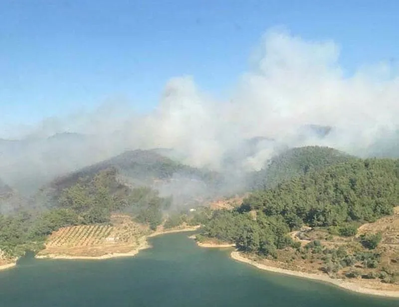 İzmir’de orman yangını