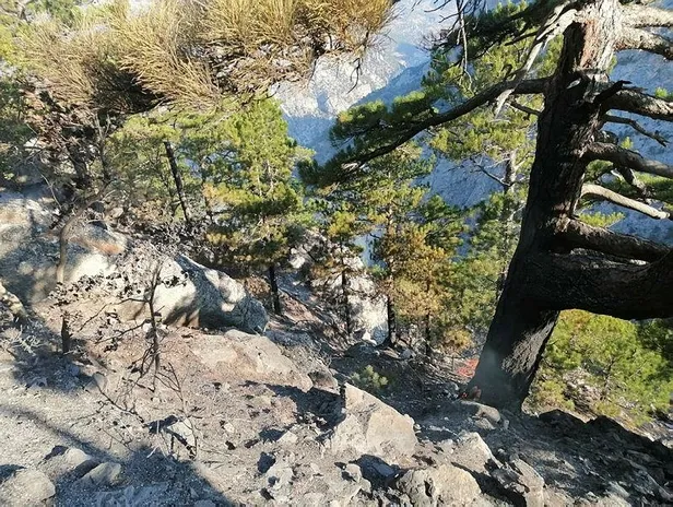 Son dakika: Kahramanmaraş'ta yangın söndürme uçağının düşme anı kamerada! Açıklamalar peş peşe geliyor-7