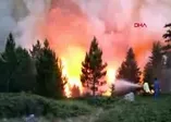 Kastamonu'da orman yangını
