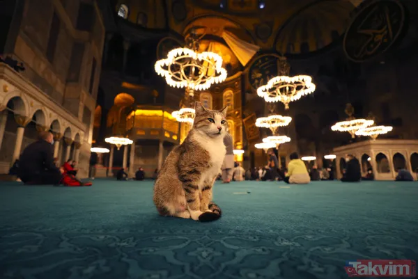 Bin aydan daha hayırlı olan Kadir Gecesi tüm yurtta idrak edildi: Filistinli mazlumlara dua edildi - 29