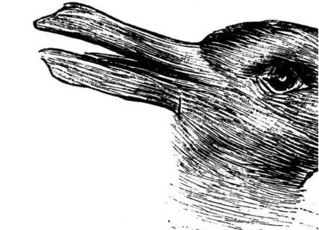 ordek-tavsan-bu-resimde-ilk-ne-gordun-kisilik-testiyle-en-gizli-yonunu-coz-1724327185801.jpg Ördek tavşan bu resimde ilk ne gördün? Kişilik testiyle en gizli yönünü çöz!-3