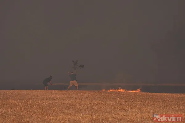 İzmir'deki yangın kontrol altına alındı! Bakan Yumaklı bölge bölge son durumu açıkladı - 7