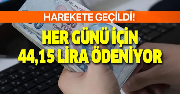 Harekete geçildi! Günlük 44,15 lira hesaplara ödeniyor! Başvuru için son 5 gün...