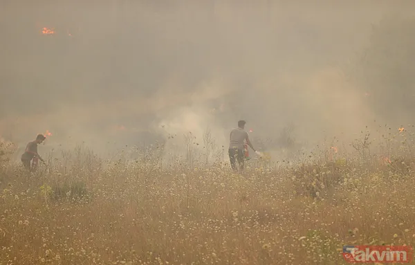 İzmir ve diğer illerde alevler kontrol altına alındı! Menderes'i yakan 'hobi' Çeşme'de izmarit izi: Bakan 'haftaya dikkat' diyerek uyardı - 29