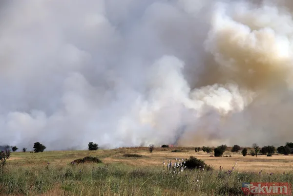 Uşak Havalimanı içerisindeki otluk alanda yangın: Olay yerinden görüntüler - 3