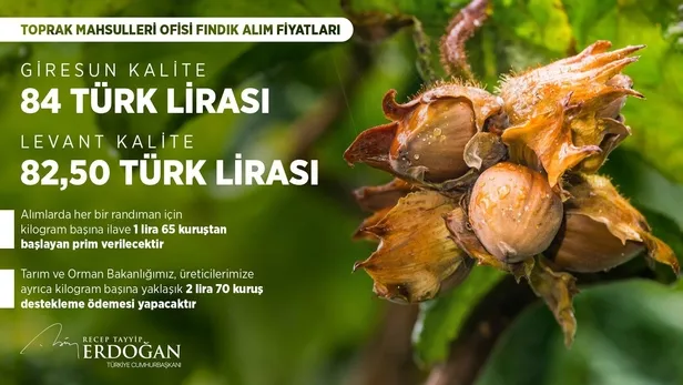 kabine-toplantisi-sonrasi-baskan-erdogan-onemli-aciklamalarda-bulundu-1691427286356.jpeg Kabine Toplantısı sonrası Başkan Erdoğan önemli açıklamalarda bulundu-11