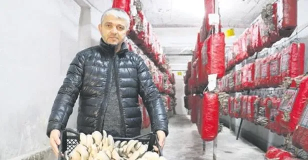 Hobi işe dönüştü