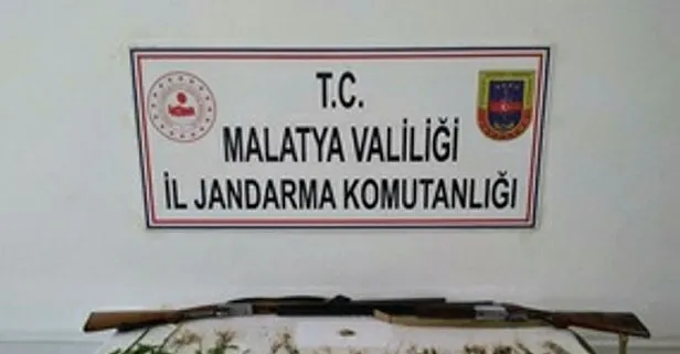 Malatya’da 327 kök kenevir ele geçirildi! 2 kişi gözaltına alındı